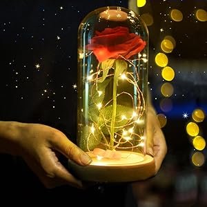 Eternal Life Rose Magic Rose Silk Rose Glass Dome with LED Light Pine Base For Ladies Valentine's Day Christmas Anniversary