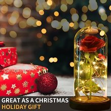 Eternal Life Rose Magic Rose Silk Rose Glass Dome with LED Light Pine Base For Ladies Valentine's Day Christmas Anniversary
