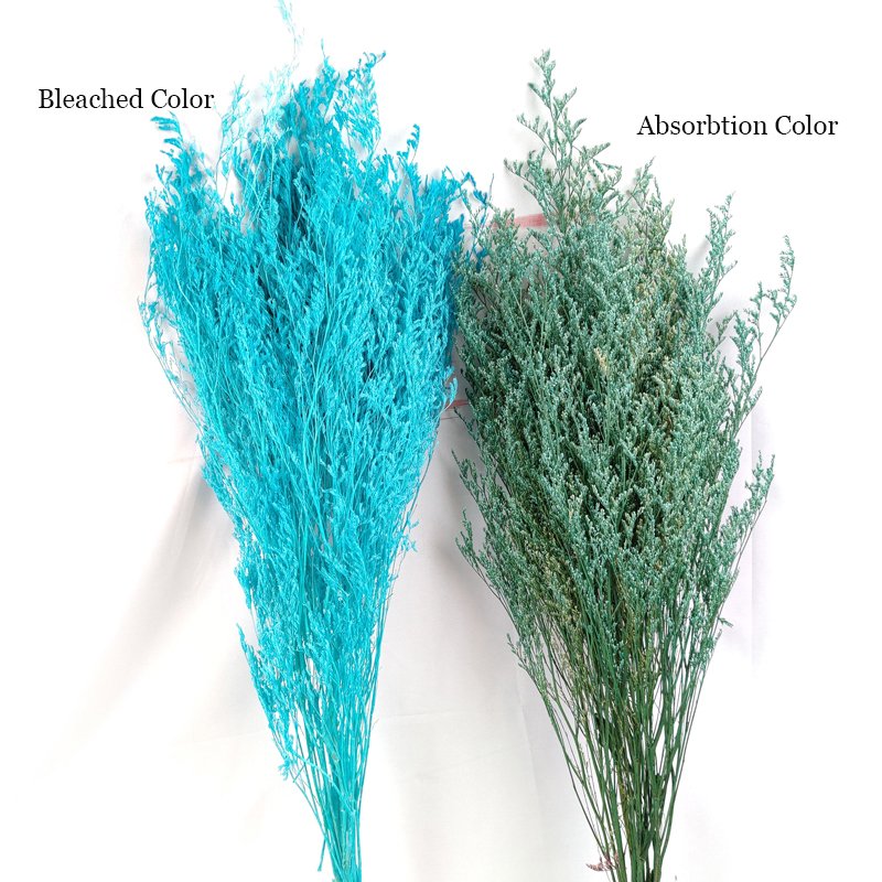 Boho Decor Preserved Caspia Limonium Lover Grass Real Preserved Flowers Bleached Valentine's Grass Misty Limonium Caspia Plants