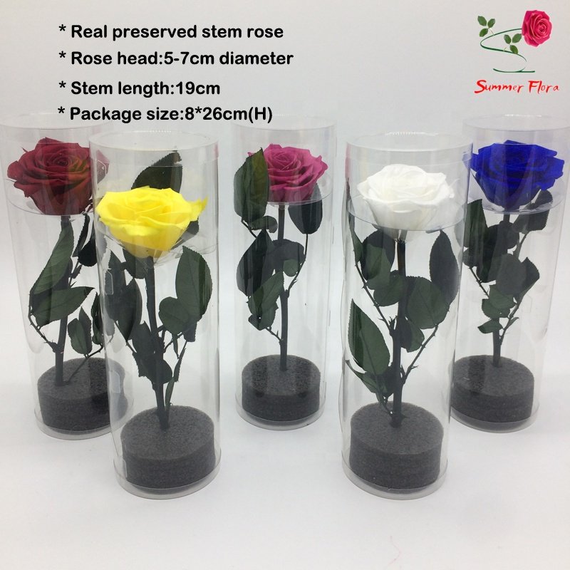Summer flora wholesale eternal rose hand made free sample decorative flowers long stem rose gift box