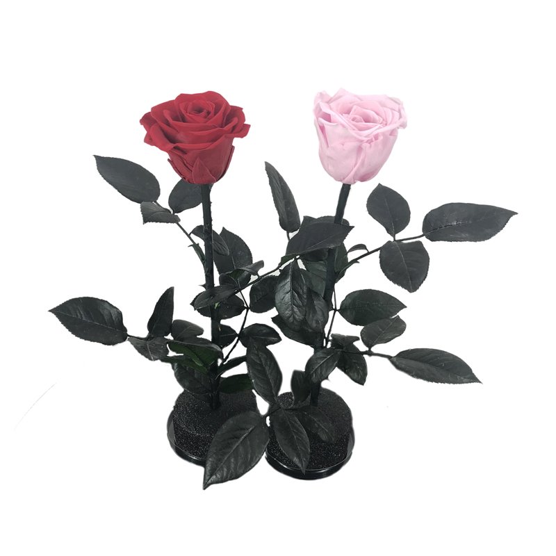 Summer flora wholesale eternal rose hand made free sample decorative flowers long stem rose gift box