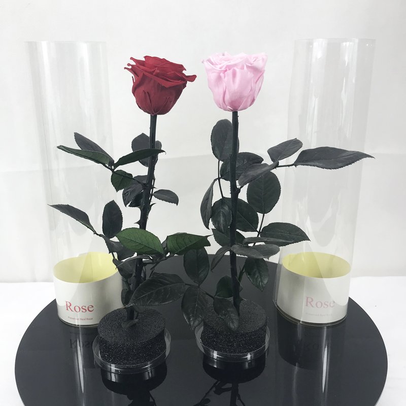 Summer flora wholesale eternal rose hand made free sample decorative flowers long stem rose gift box