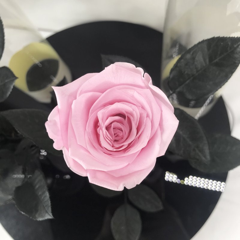 Summer flora wholesale eternal rose hand made free sample decorative flowers long stem rose gift box