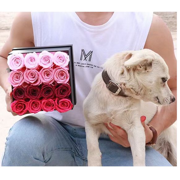 Hot new products 2023 Valentine's Day assorted preserved flowers rose gift box new product ideas 2023 flowers bx