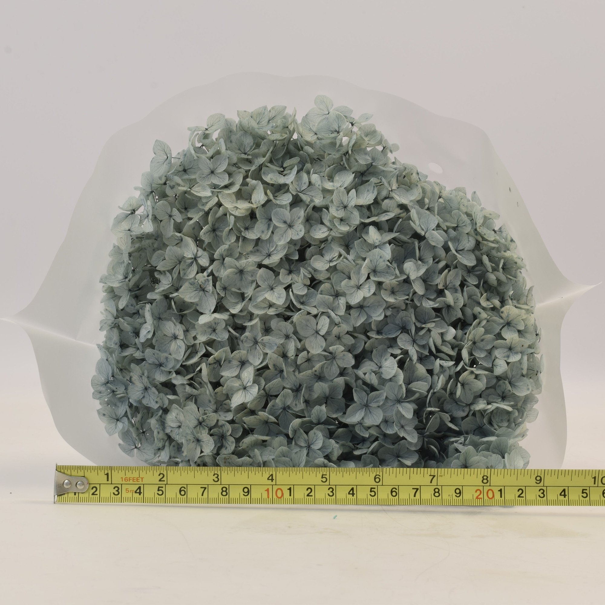 Hfloral Preserved Flowers and Plants preserved hydrangea with stem for Indoor decoration