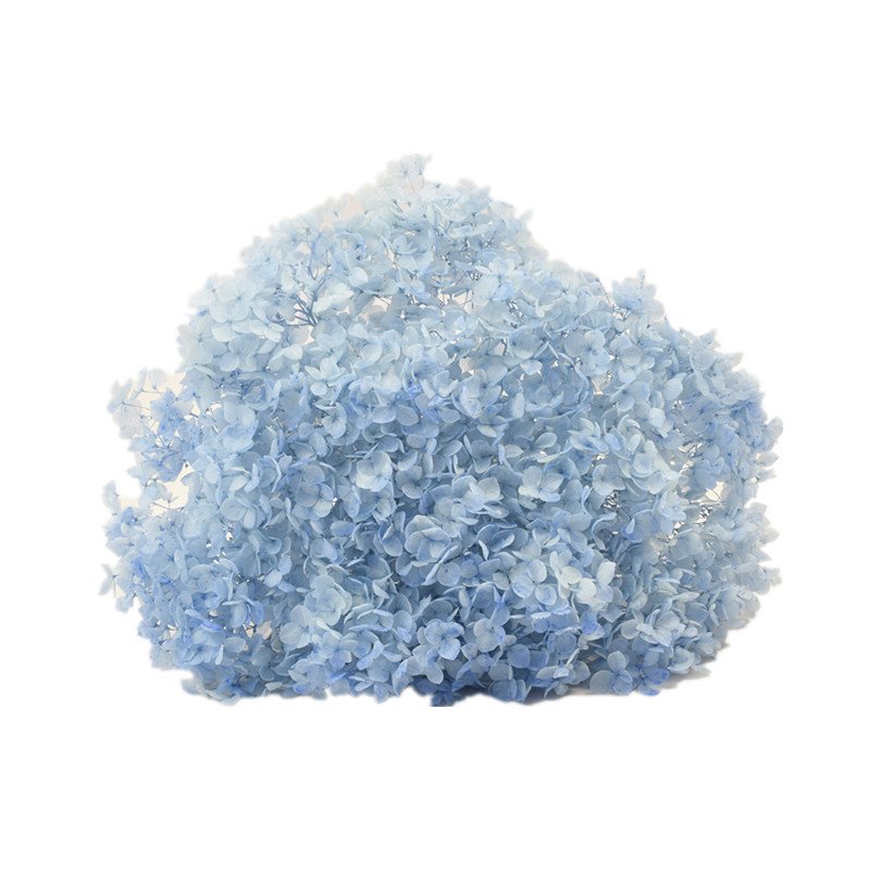 Hfloral Preserved Flowers and Plants preserved hydrangea with stem for Indoor decoration