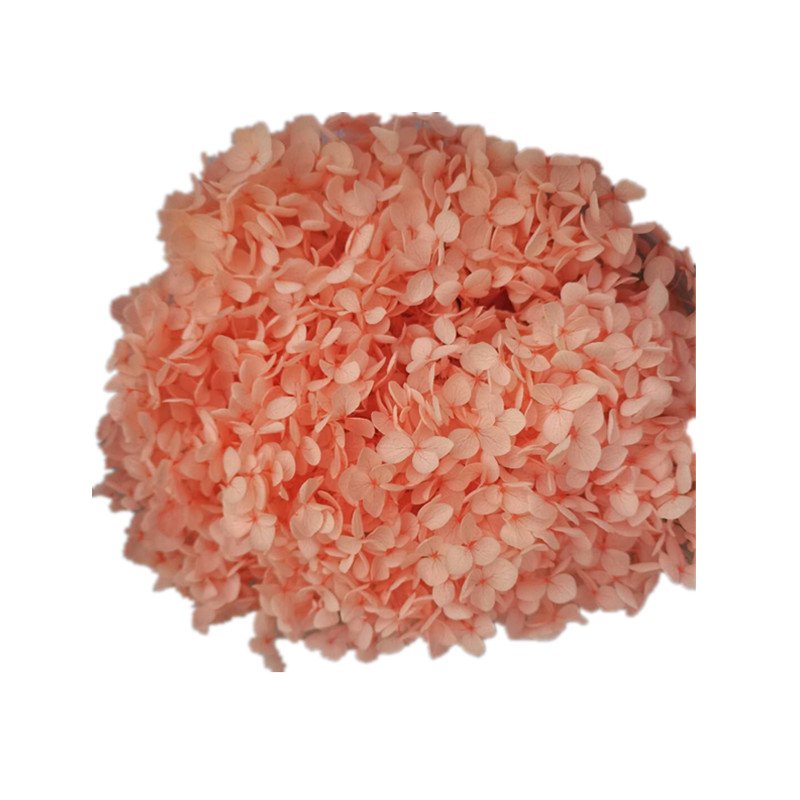 Hfloral Preserved Flowers and Plants preserved hydrangea with stem for Indoor decoration