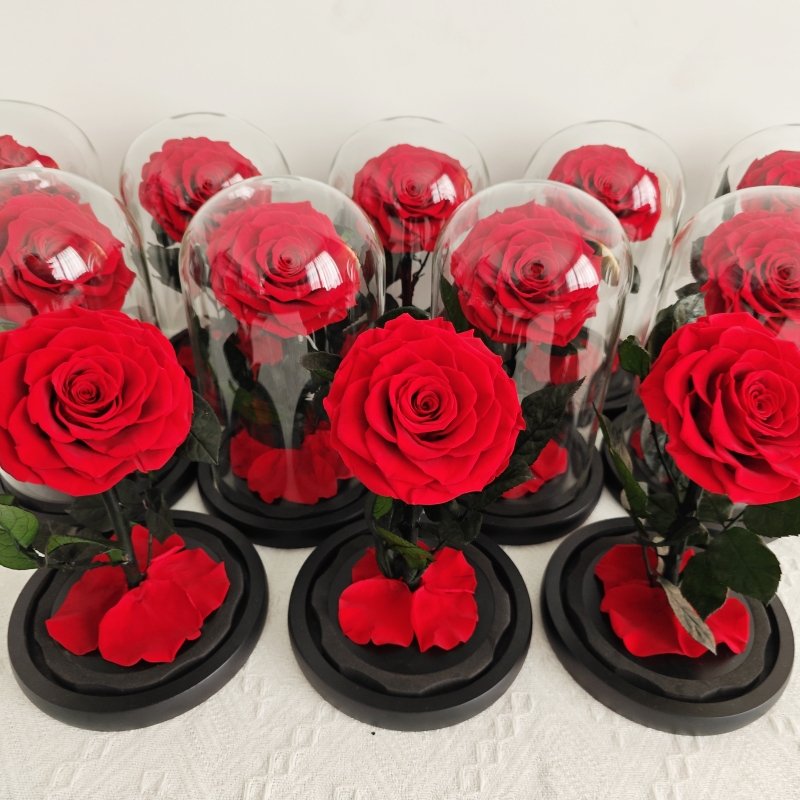 2024 tiktok hot selling Eternal Rose Flowers Morthers Day Everlasting Preserved Flower Forever Roses In Glass Dome Led
