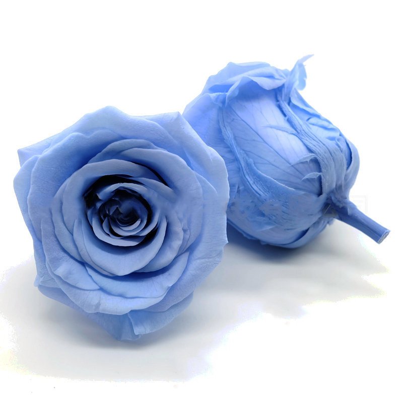 BX-29 Flower head best quality Artificial flowers decorative real natural eternal forever immortal flower head preserved roses