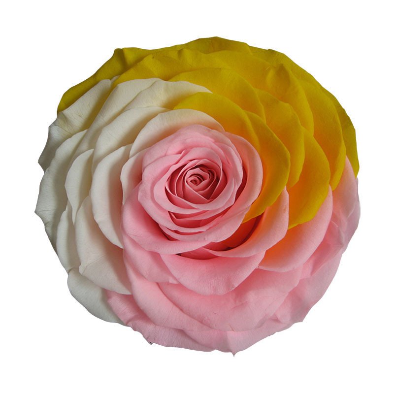 BX-29 Flower head best quality Artificial flowers decorative real natural eternal forever immortal flower head preserved roses