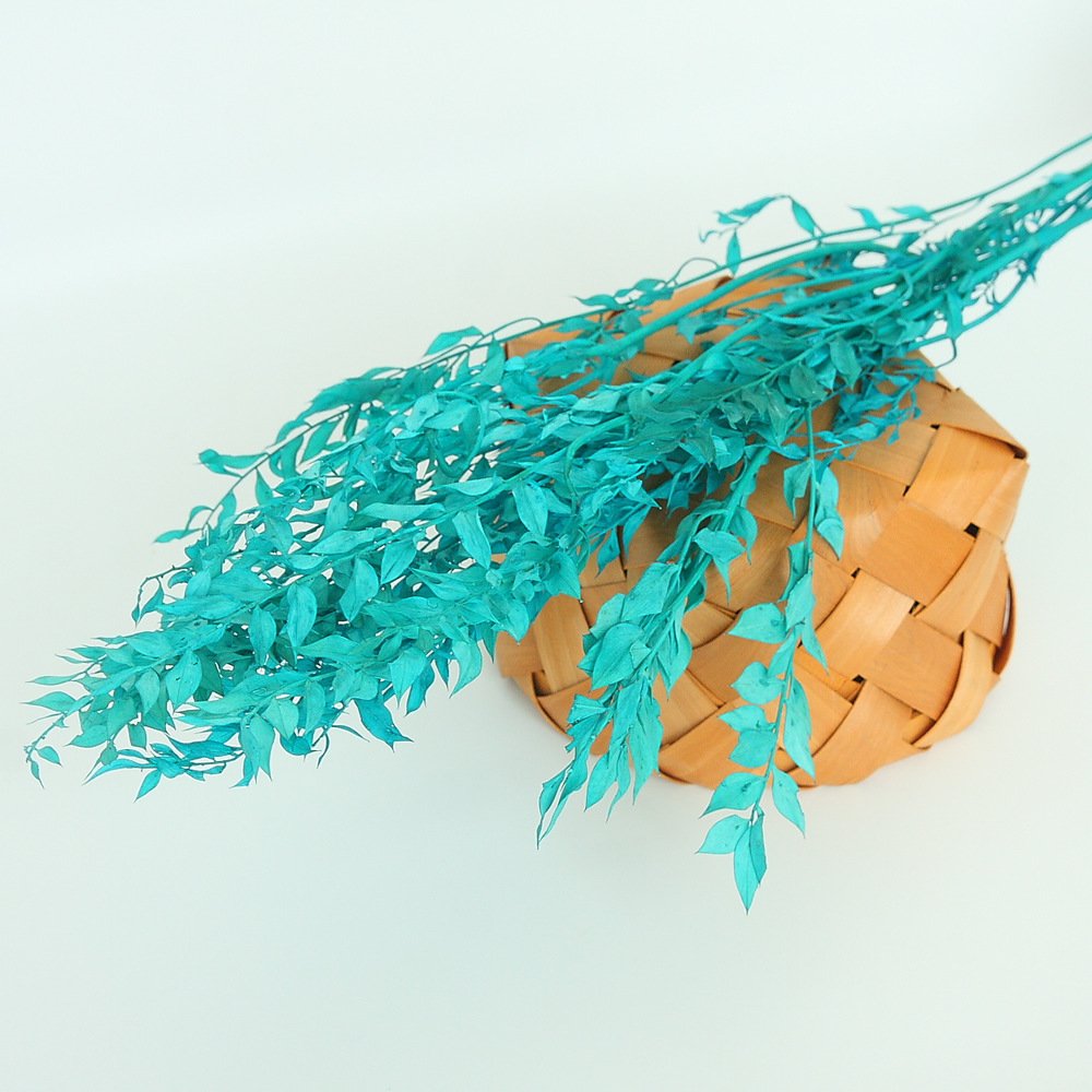 Yunnan 2023 most popular dried ruscus preserved Flower Decorative Flowers for Home Decoration