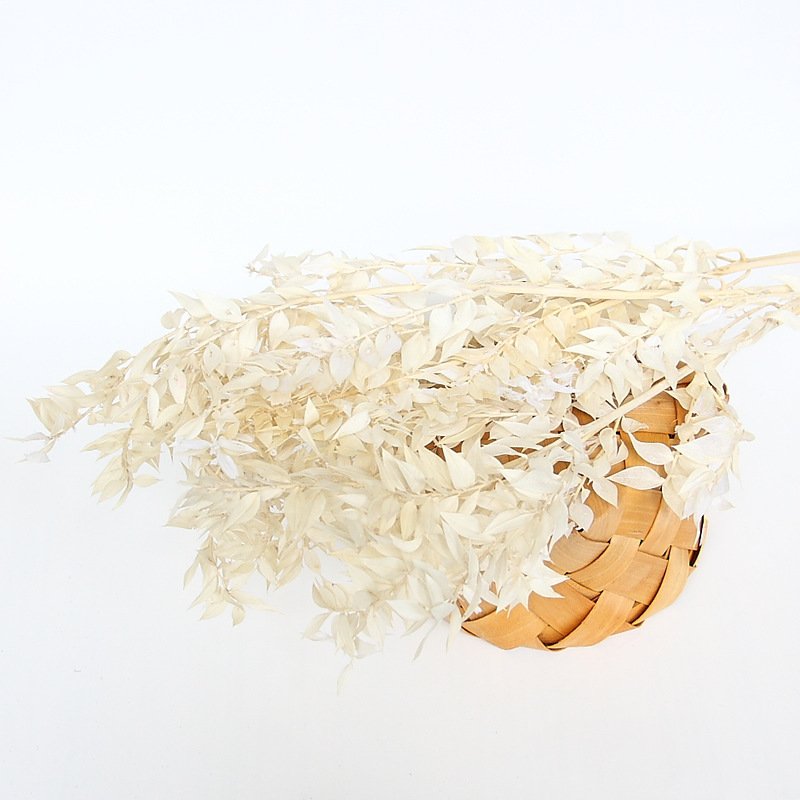 Yunnan 2023 most popular dried ruscus preserved Flower Decorative Flowers for Home Decoration