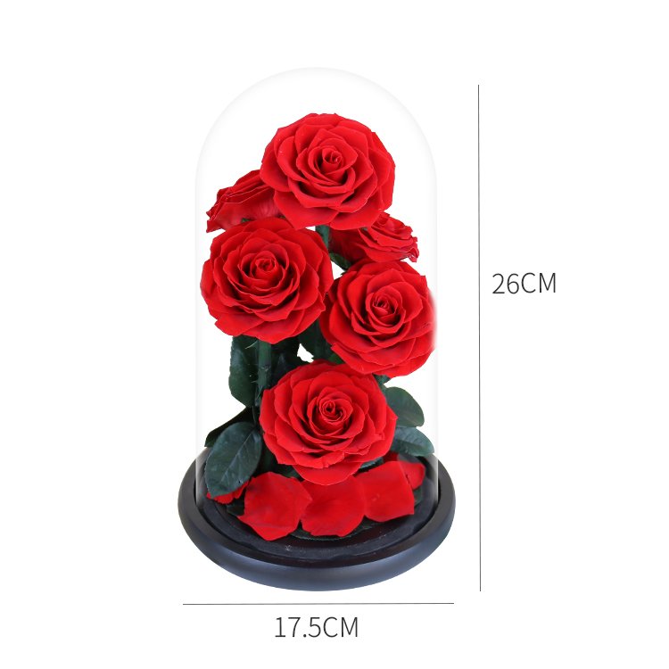 YS-028 Wholesale valentines day gift Real in Glass Dome Roses Never Withered Flower six Preserved Flowers Preserved Roses