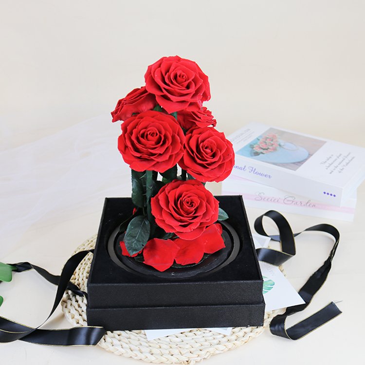 YS-028 Wholesale valentines day gift Real in Glass Dome Roses Never Withered Flower six Preserved Flowers Preserved Roses