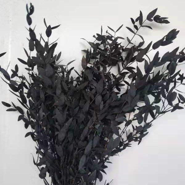 Natural Preserved Eucalyptus Tenuifolia Vase Arrangement Fresh Flower Room Decoration for Graduation Valentine's Day Christmas