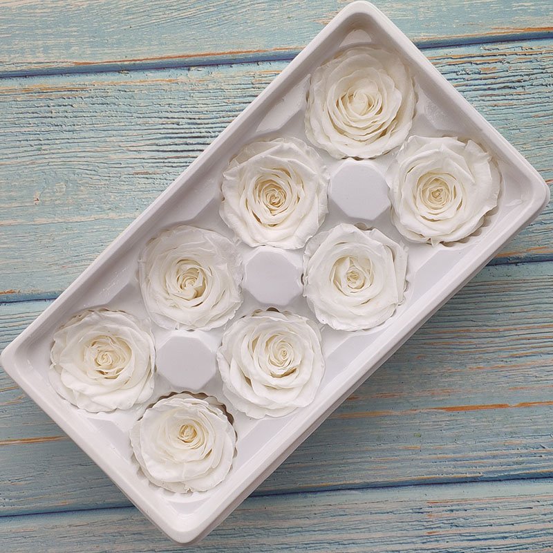 PENGXUAN Top Seller 2023 Preserved Roses Real Touch Roses Preserved Flowers And Plants