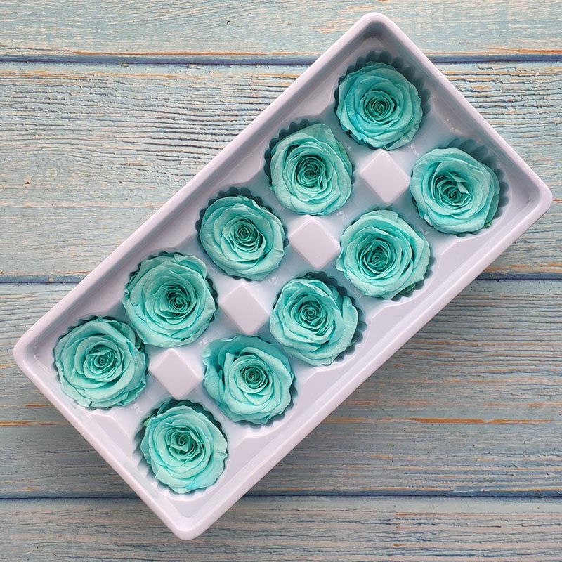 PENGXUAN Top Seller 2023 Preserved Roses Real Touch Roses Preserved Flowers And Plants