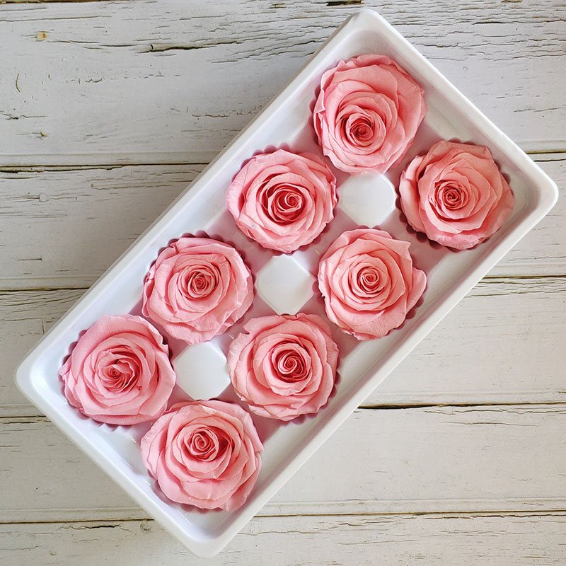 PENGXUAN Top Seller 2023 Preserved Roses Real Touch Roses Preserved Flowers And Plants