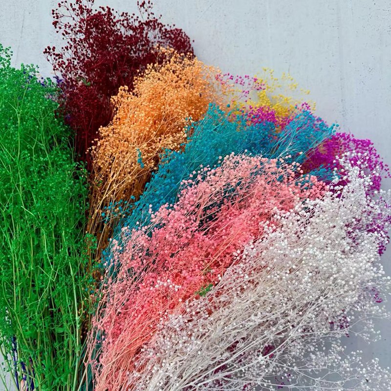Eternal Million Stars Xia Grass Real Flower DIY Handmade Arrangement Preserved Plants for Home Decoration & Shooting Props