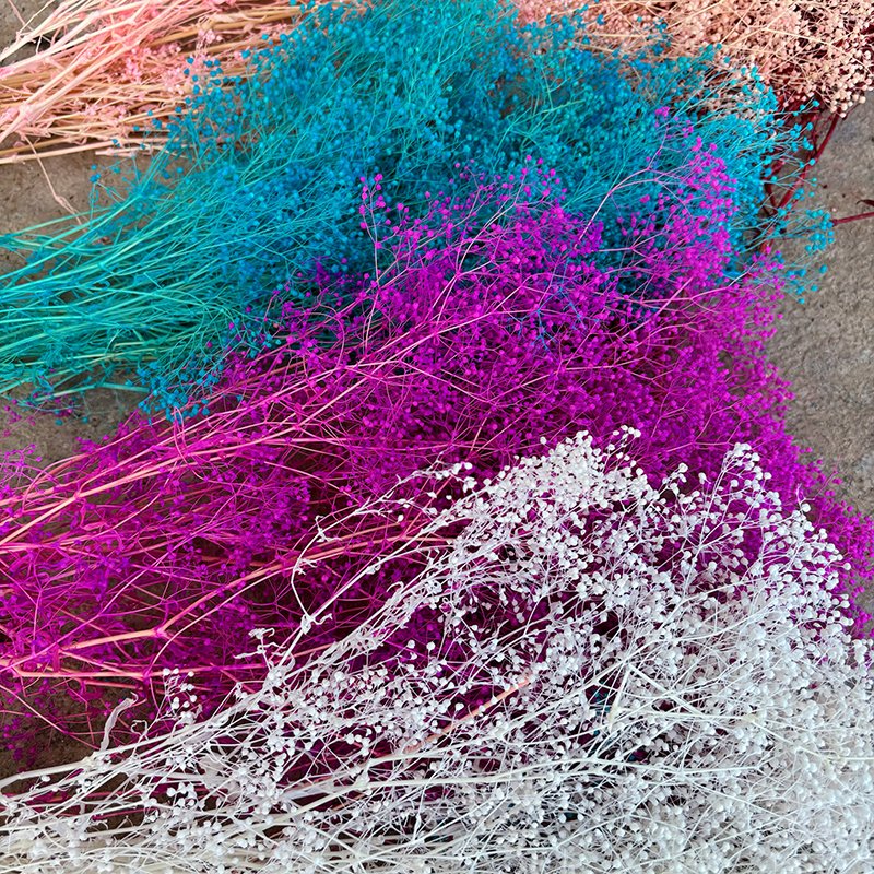 Eternal Million Stars Xia Grass Real Flower DIY Handmade Arrangement Preserved Plants for Home Decoration & Shooting Props