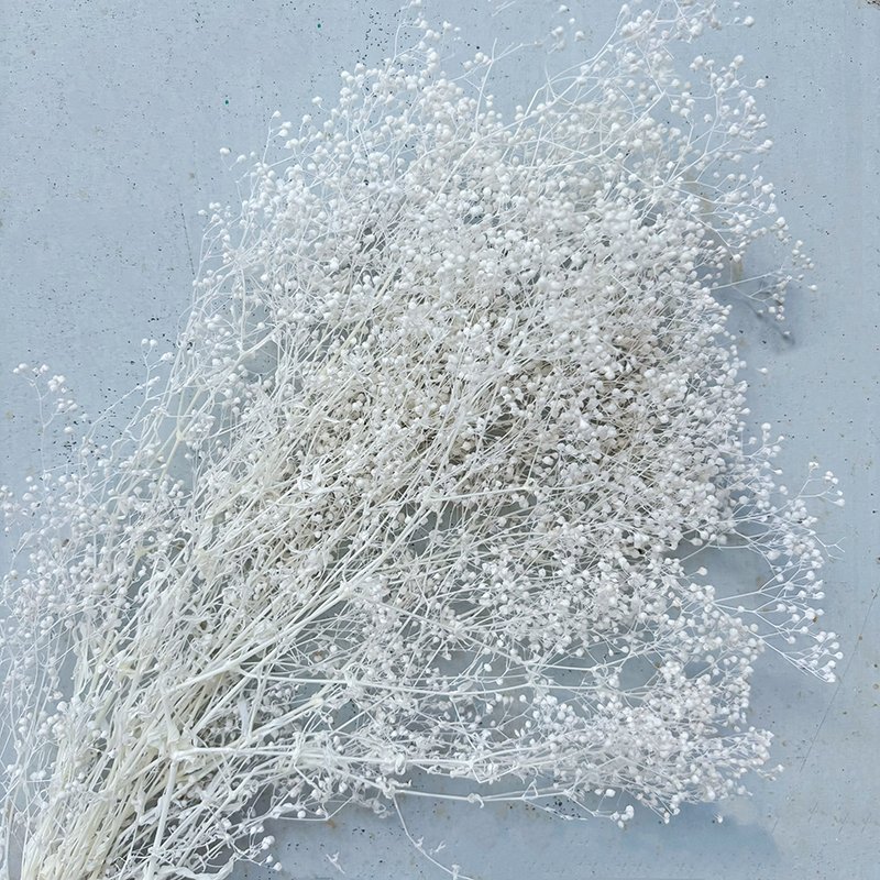 Eternal Million Stars Xia Grass Real Flower DIY Handmade Arrangement Preserved Plants for Home Decoration & Shooting Props
