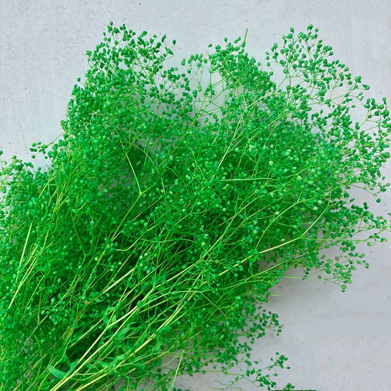 Eternal Million Stars Xia Grass Real Flower DIY Handmade Arrangement Preserved Plants for Home Decoration & Shooting Props
