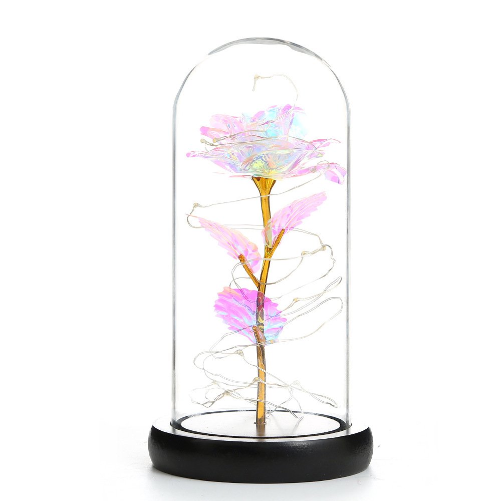 Gold foil flower glass cover Valentine's Day Christmas LED micro landscape ecological glass vase living room home decoration