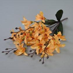 09