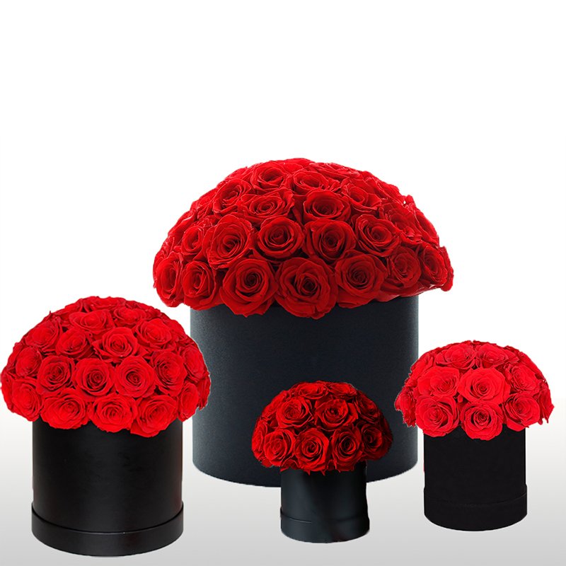 Factory Direct Valentine Christmas Mother Day Gifts Long Stem Lift Real Natural Preserved Roses Eternal Preserved Flowers in Box