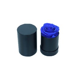 Rose-1-Round
