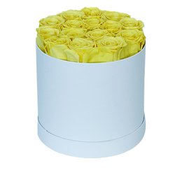 Rose-15-Round