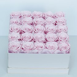 Rose-25-Square