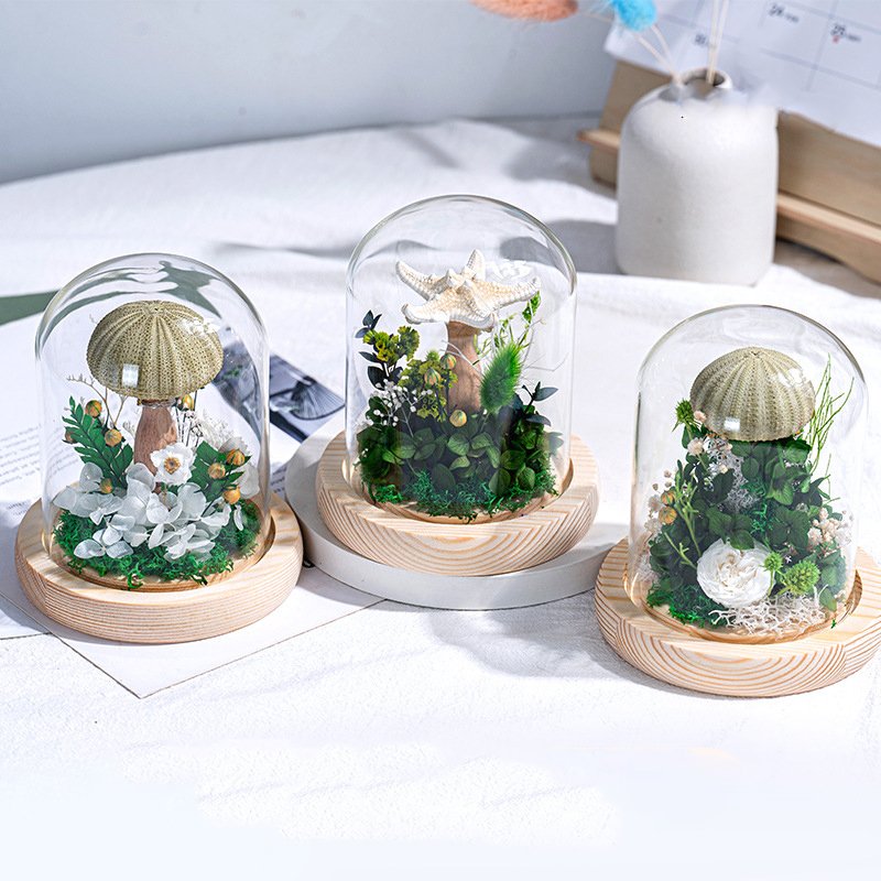 Wholesale Forever Roses & Sea Urchins Shell Night Light Lamp For Bedside Table Decor Preserved Flower Plants In Glass Lampshade