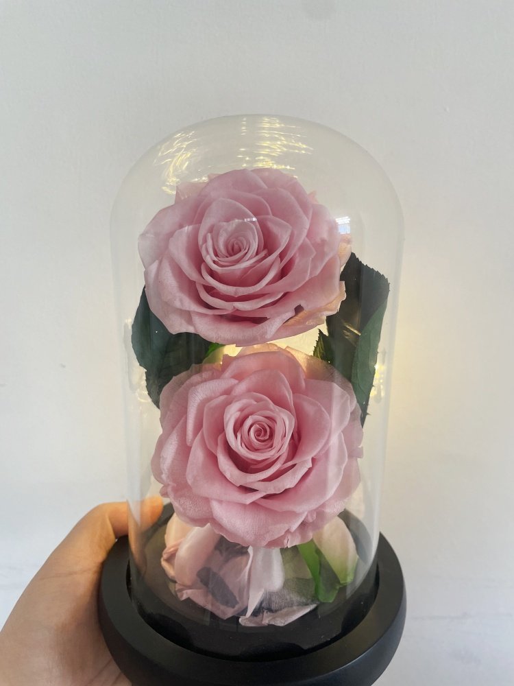 Amazon Hot Selling Preserved Rose in Glass Dome with Gift Box for Christmas Decor Everlasting Forever Eternal Rose