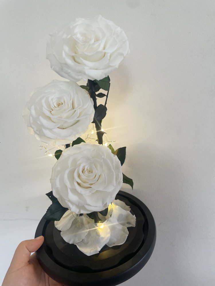 Amazon Hot Selling Preserved Rose in Glass Dome with Gift Box for Christmas Decor Everlasting Forever Eternal Rose