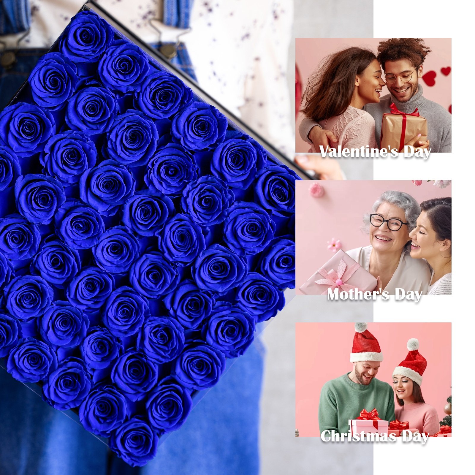 MCfloral New Product Ideas 2024 Floral Supplies Room Decor Rose Preserved Flower Long Lasting Forever Eternal Roses
