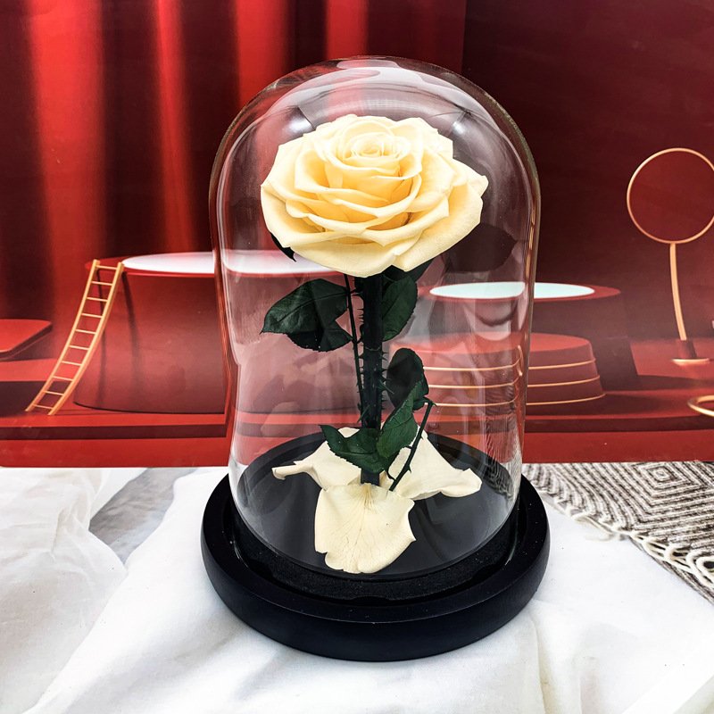 2024 Gifts Preserved Flowers Forever Rose Eternal Flowers And Plants Preserved Roses In Glass Dome rose preserved flower