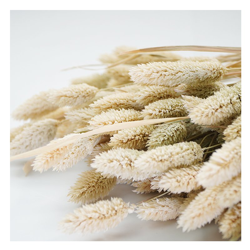 Hot selling custom Home Decoration bulk Natural gem grass dry preserved flowers for bouquet decoration