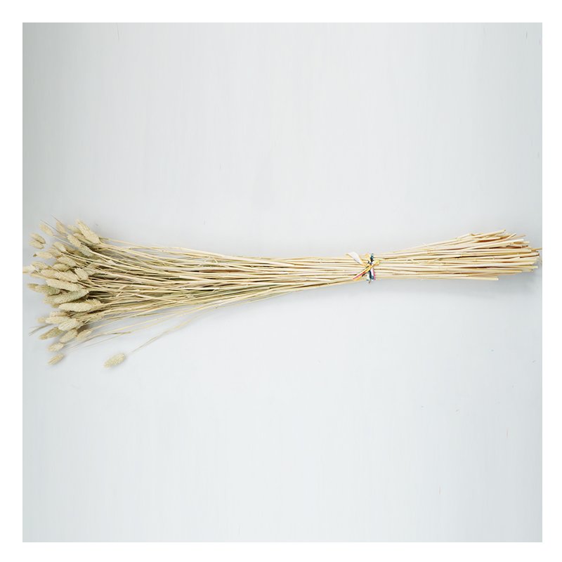 Hot selling custom Home Decoration bulk Natural gem grass dry preserved flowers for bouquet decoration