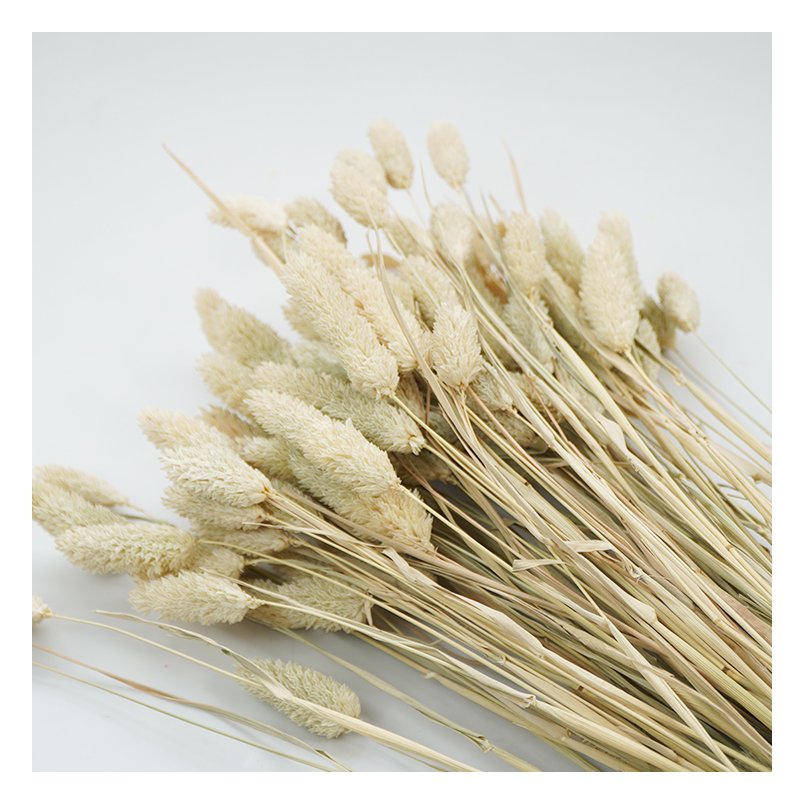 Hot selling custom Home Decoration bulk Natural gem grass dry preserved flowers for bouquet decoration