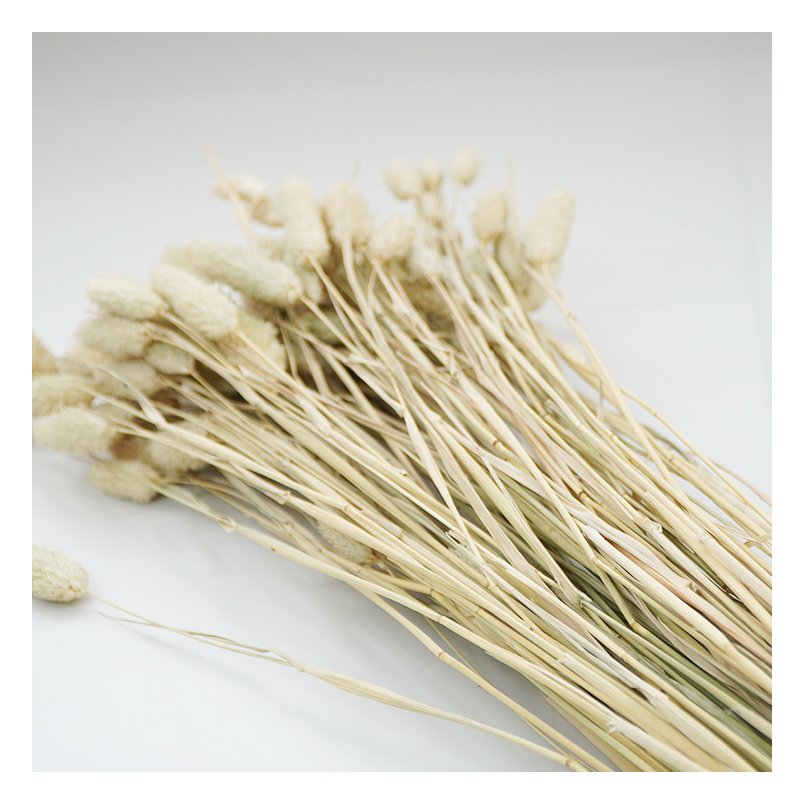Hot selling custom Home Decoration bulk Natural gem grass dry preserved flowers for bouquet decoration