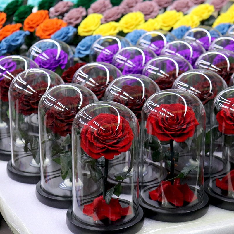 Factory Directly Supply Eternal Rose Morthers Day Preserved Flower Forever Roses In Glass Dome Led Valentines Day Gift 2024
