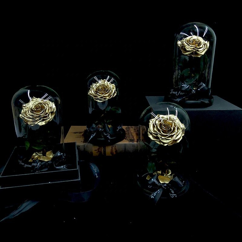 Factory Directly Supply Eternal Rose Morthers Day Preserved Flower Forever Roses In Glass Dome Led Valentines Day Gift 2024