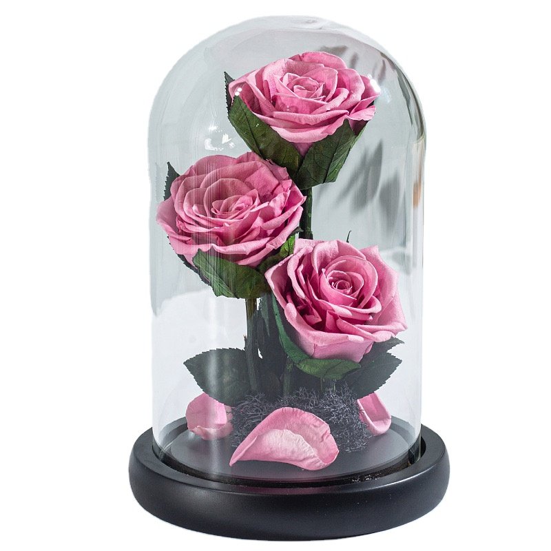 Three Preserved Flower Valentine's Day Gifts Ideas Enchanted Led Lights In Glass Dome Eternal Rose Ornaments