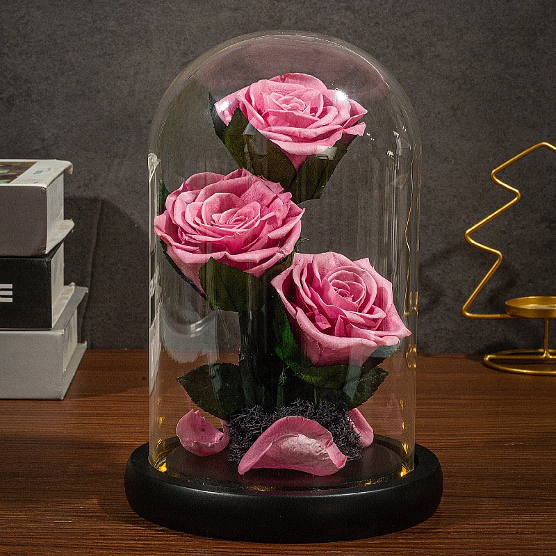 Three Preserved Flower Valentine's Day Gifts Ideas Enchanted Led Lights In Glass Dome Eternal Rose Ornaments
