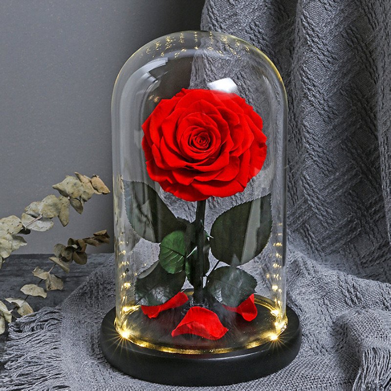 Three Preserved Flower Valentine's Day Gifts Ideas Enchanted Led Lights In Glass Dome Eternal Rose Ornaments
