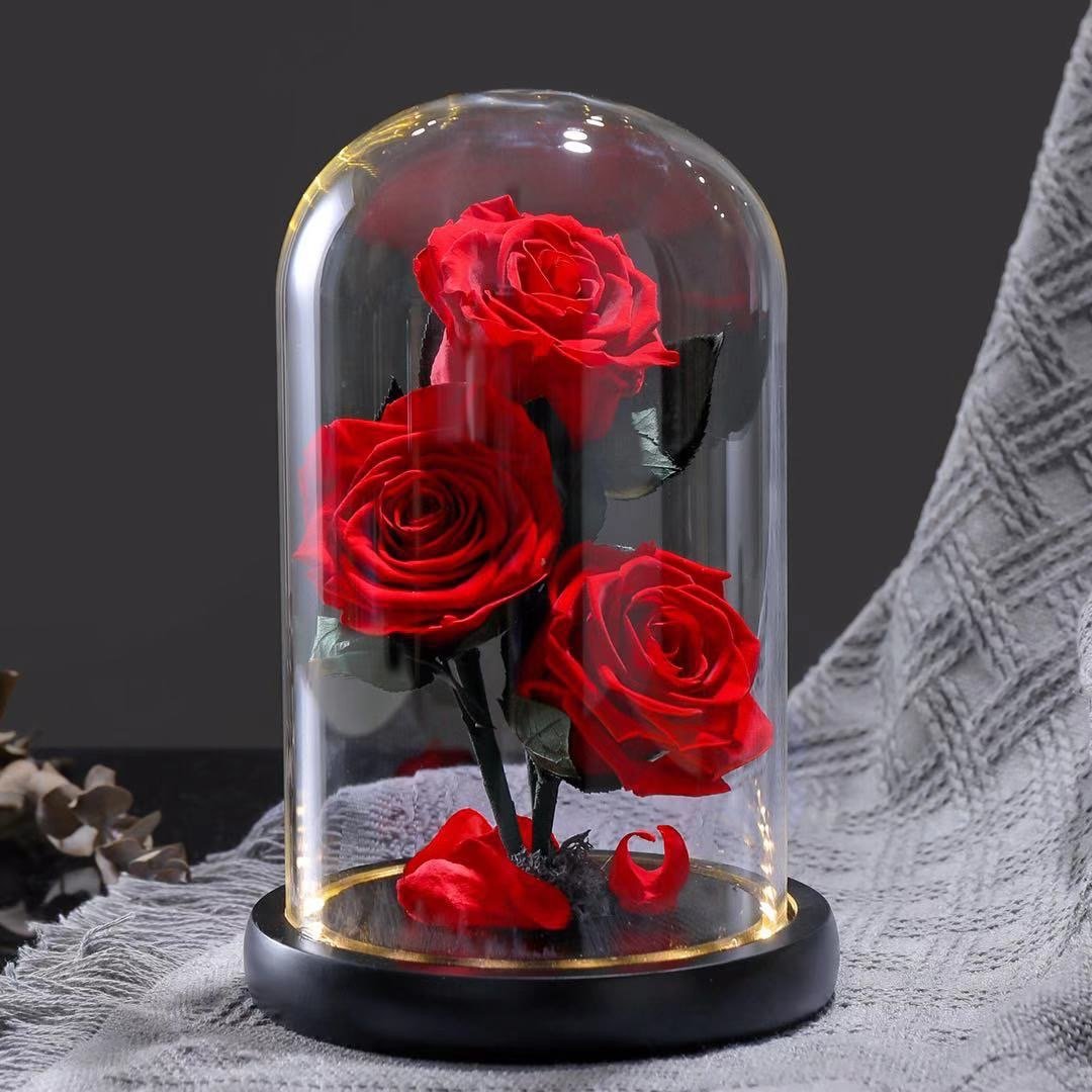 Three Preserved Flower Valentine's Day Gifts Ideas Enchanted Led Lights In Glass Dome Eternal Rose Ornaments