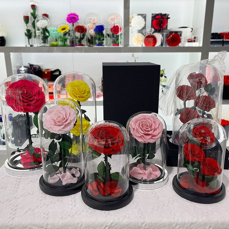 Three Preserved Flower Valentine's Day Gifts Ideas Enchanted Led Lights In Glass Dome Eternal Rose Ornaments