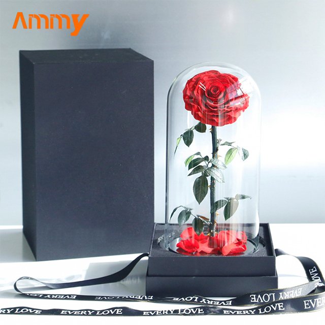 Ammy wedding favors Preserved Flower Rose Big Prince Roses Forever Flowers Eternal Roses In Glass Dome For Valentines Day Gifts