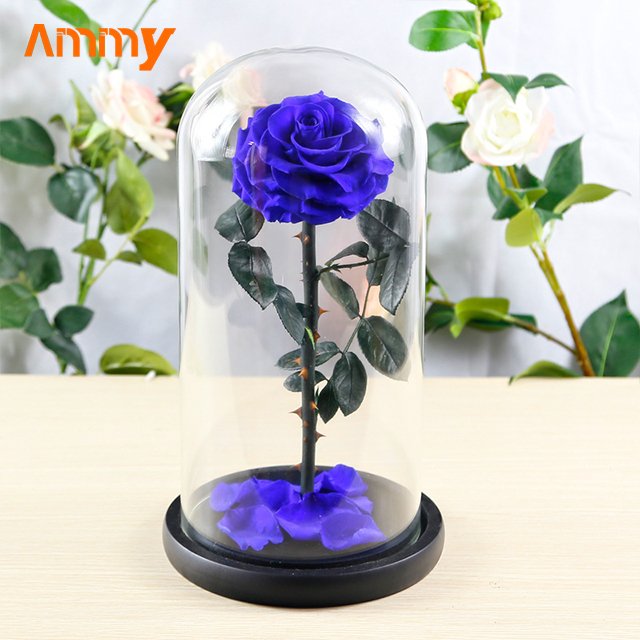 Ammy wedding favors Preserved Flower Rose Big Prince Roses Forever Flowers Eternal Roses In Glass Dome For Valentines Day Gifts